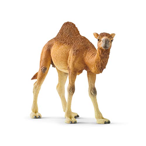 schleich 14832 Dromedar, für Kinder ab 3+ Jahren, WILD LIFE - Spielfigur