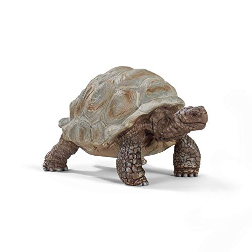 schleich 14824 Riesenschildkröte, für Kinder ab 3+ Jahren, WILD LIFE - Spielfigur