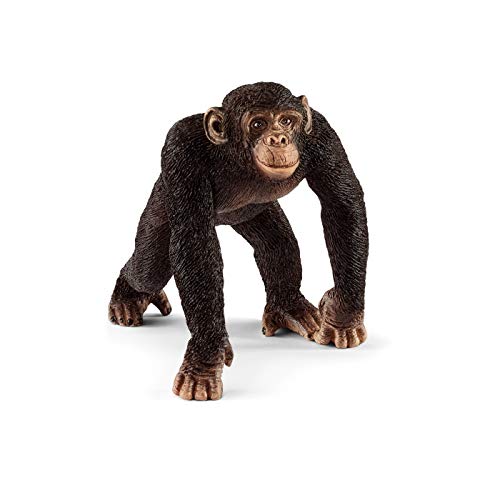 schleich 14817 Schimpanse Männchen, für Kinder ab 3+ Jahren, WILD LIFE - Spielfigur